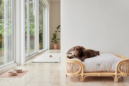 Oyoy Zoo Kaya Hundedecke - Medium