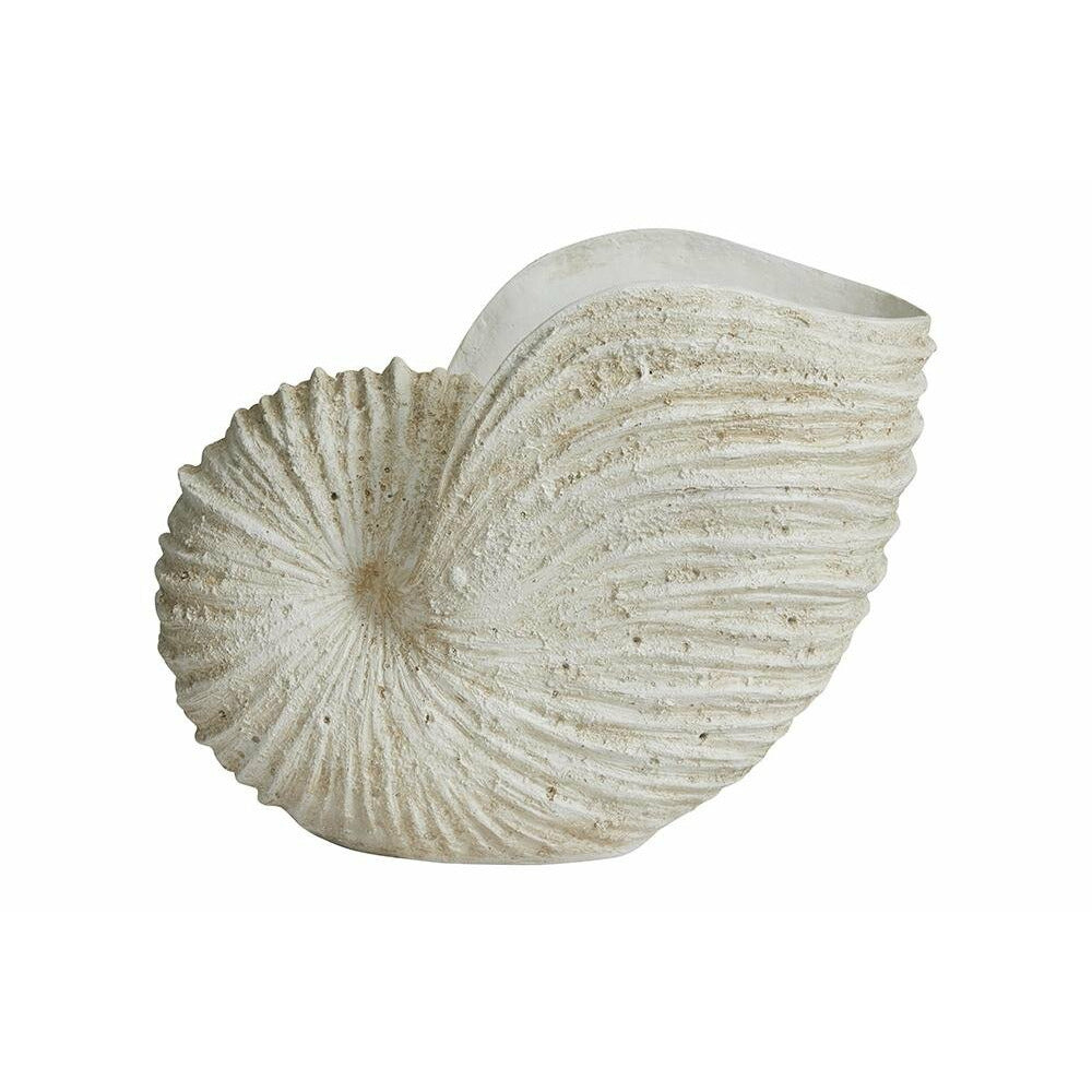 KETOY konkylie til dekoration - H41 cm - hvid