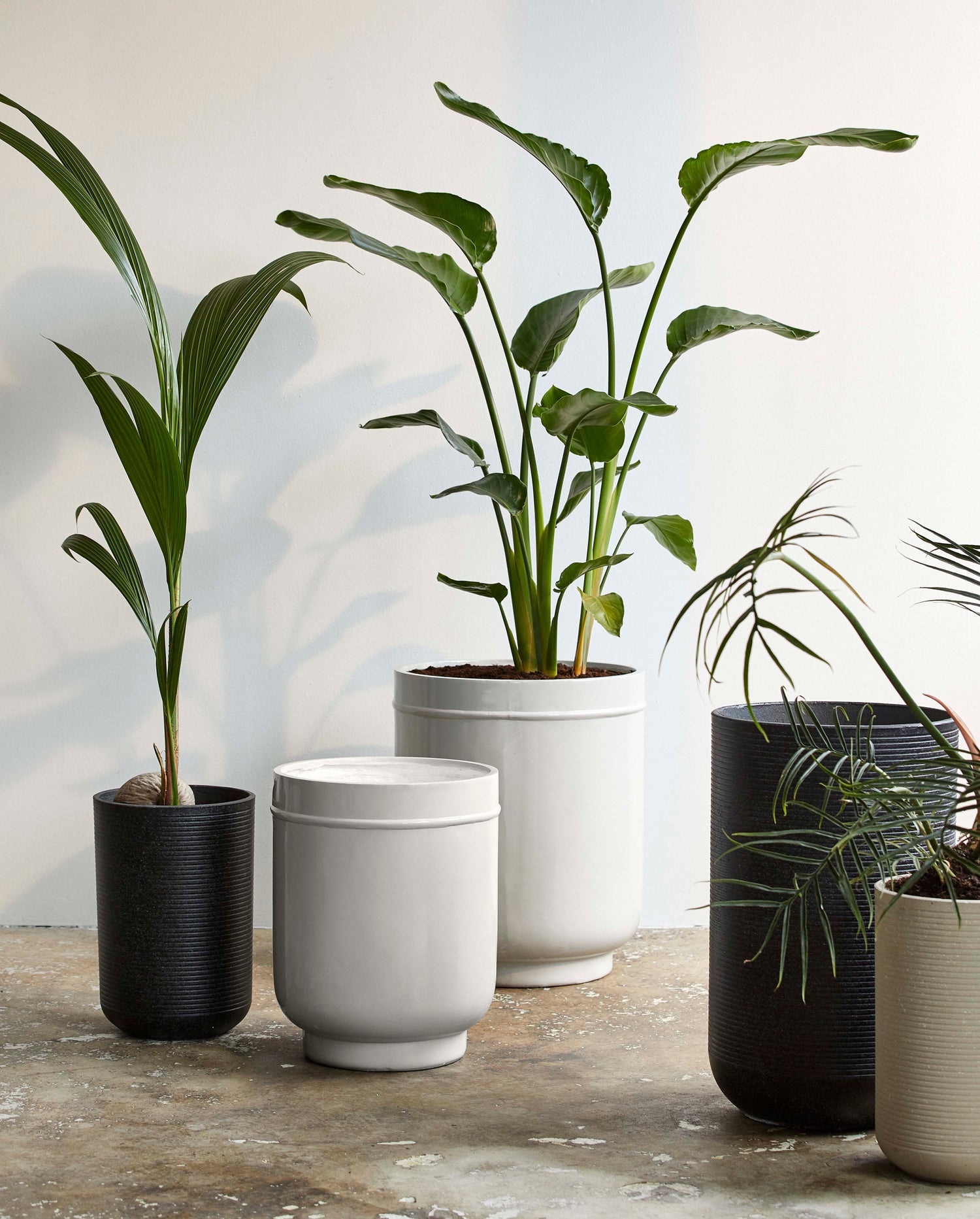 Eday Kräutertöpfe - 2 PCs. - H56/46 cm - grau