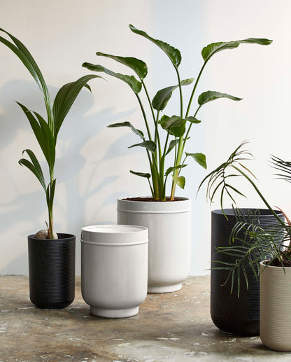 Eday Kräutertöpfe - 2 PCs. - H56/46 cm - grau