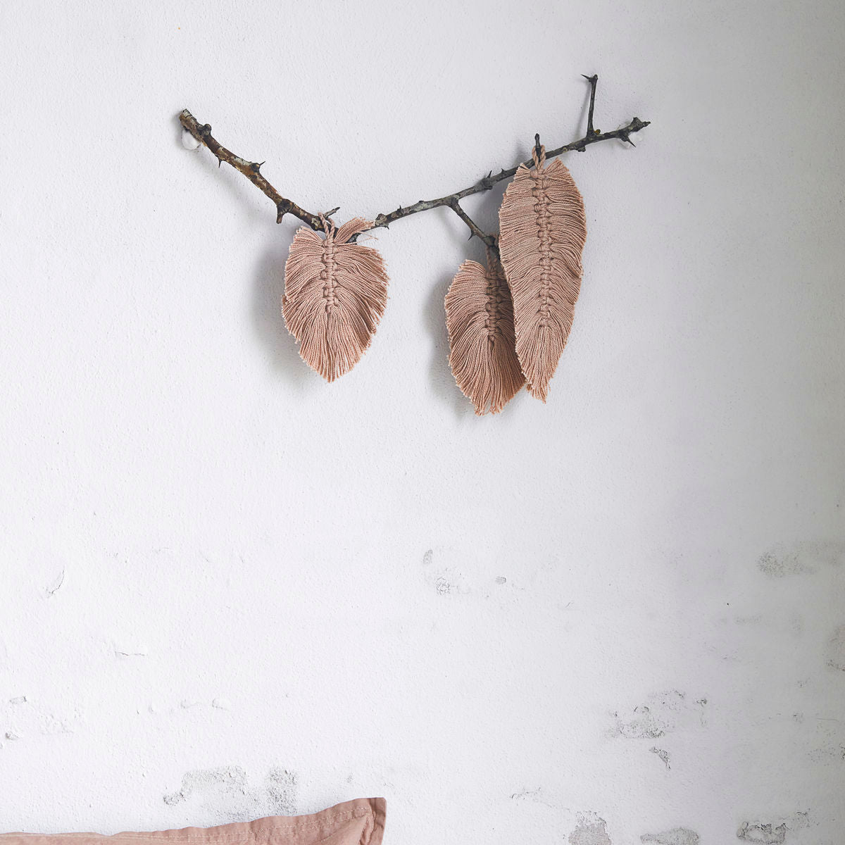 Von Nord Blade, Barkaste, Natur