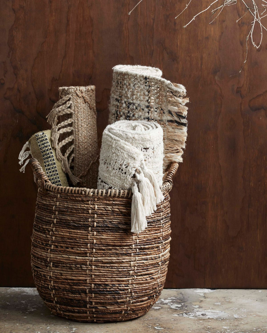 Dalia Decke, S - Nature